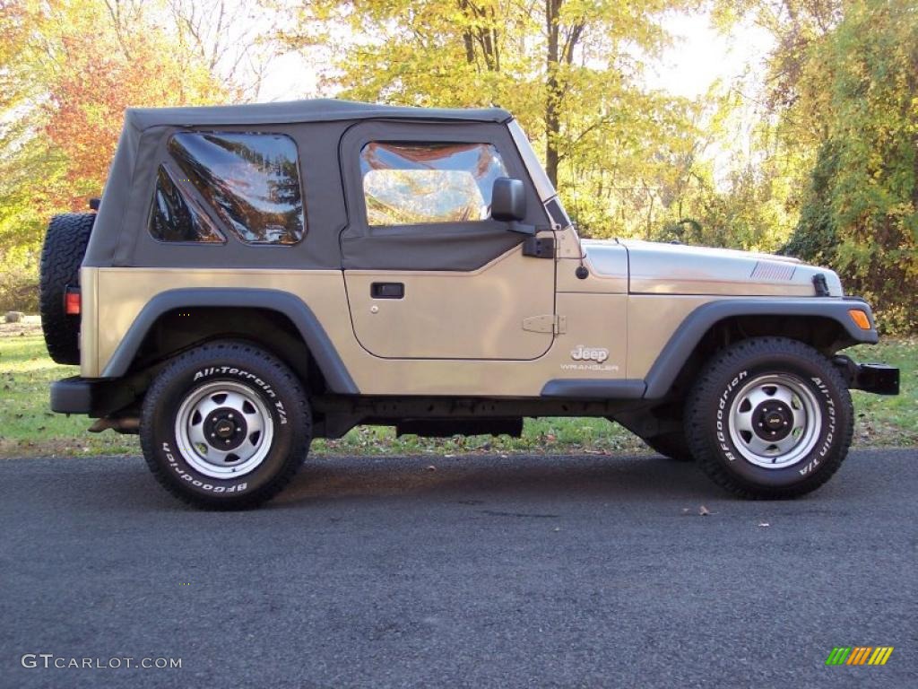 2004 Wrangler SE 4x4 - Light Khaki Metallic / Khaki photo #53