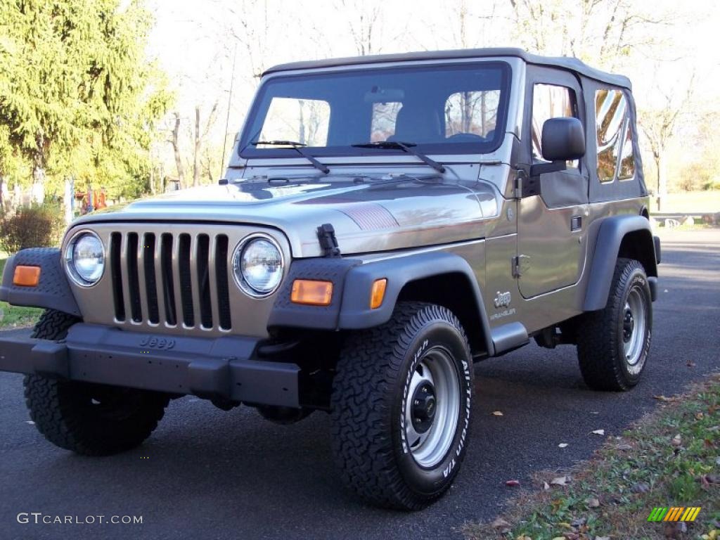 2004 Wrangler SE 4x4 - Light Khaki Metallic / Khaki photo #55