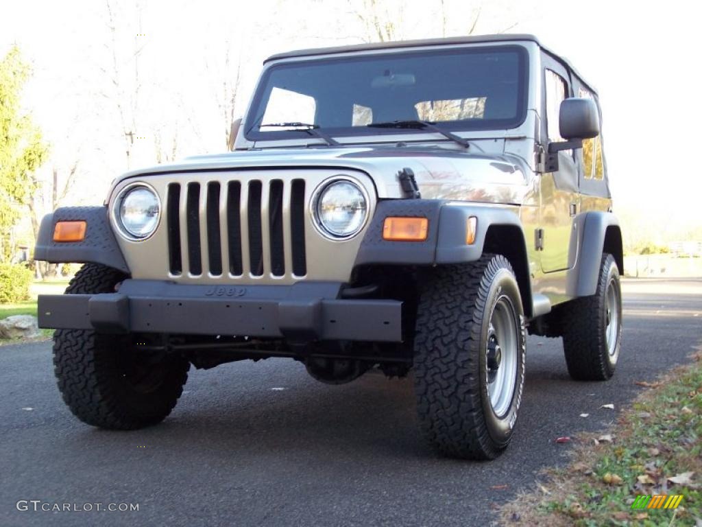 2004 Wrangler SE 4x4 - Light Khaki Metallic / Khaki photo #56