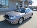 Steel Gray - Sonata LX V6 Photo No. 2