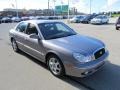Steel Gray - Sonata LX V6 Photo No. 9