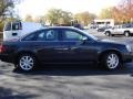 2007 Alloy Metallic Ford Five Hundred Limited  photo #4