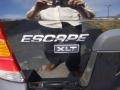 2006 Black Ford Escape XLT V6 4WD  photo #5