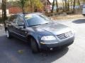 Blue Graphite Metallic - Passat GLS Sedan Photo No. 10