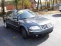 2004 Blue Graphite Metallic Volkswagen Passat GLS Sedan  photo #10