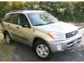 Titanium Metallic - RAV4 4WD Photo No. 3