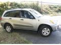 Titanium Metallic - RAV4 4WD Photo No. 4