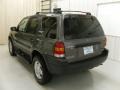 Dark Shadow Grey Metallic - Escape XLT V6 Photo No. 2