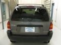 Dark Shadow Grey Metallic - Escape XLT V6 Photo No. 3