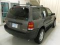 Dark Shadow Grey Metallic - Escape XLT V6 Photo No. 4