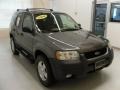 Dark Shadow Grey Metallic - Escape XLT V6 Photo No. 5