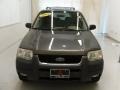 Dark Shadow Grey Metallic - Escape XLT V6 Photo No. 6