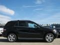 Black - ML 350 Photo No. 2