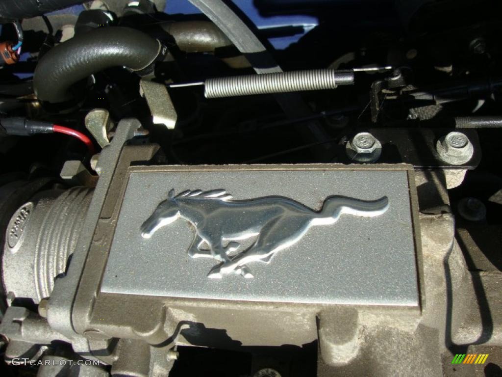 2004 Ford Mustang GT Coupe Marks and Logos Photo #38807661