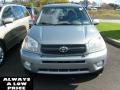 2004 Everglade Green Metallic Toyota RAV4   photo #2