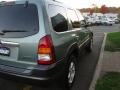 Light Cypress Green Metallic - Tribute LX-V6 Photo No. 9