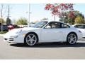 2008 Carrara White Porsche 911 Carrera Coupe  photo #5