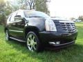 Black Raven - Escalade AWD Photo No. 5