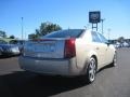 Gold Mist - CTS Sedan Photo No. 5