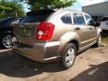 Light Khaki Metallic - Caliber SE Photo No. 2