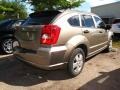 2007 Light Khaki Metallic Dodge Caliber SE  photo #2