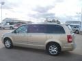 2010 White Gold Chrysler Town & Country Limited  photo #6