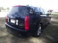 Blue Chip - SRX V6 Photo No. 19