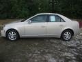 Gold Mist - CTS Sedan Photo No. 1