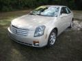 Gold Mist - CTS Sedan Photo No. 16