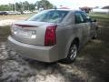 Gold Mist - CTS Sedan Photo No. 18
