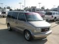 2003 Light Autumnwood Metallic GMC Safari   photo #7