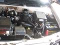2003 Light Autumnwood Metallic GMC Safari   photo #21