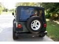 2002 Shale Green Metallic Jeep Wrangler X 4x4  photo #8