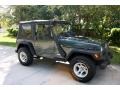 2002 Shale Green Metallic Jeep Wrangler X 4x4  photo #14