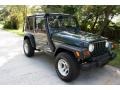 2002 Shale Green Metallic Jeep Wrangler X 4x4  photo #15