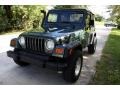 2002 Shale Green Metallic Jeep Wrangler X 4x4  photo #18