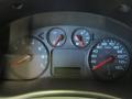 Pebble Beige Gauges Photo for 2006 Ford Freestyle #38856412