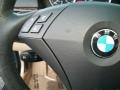 Mystic Blue Metallic - 5 Series 530xi Sedan Photo No. 15