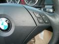 Mystic Blue Metallic - 5 Series 530xi Sedan Photo No. 16