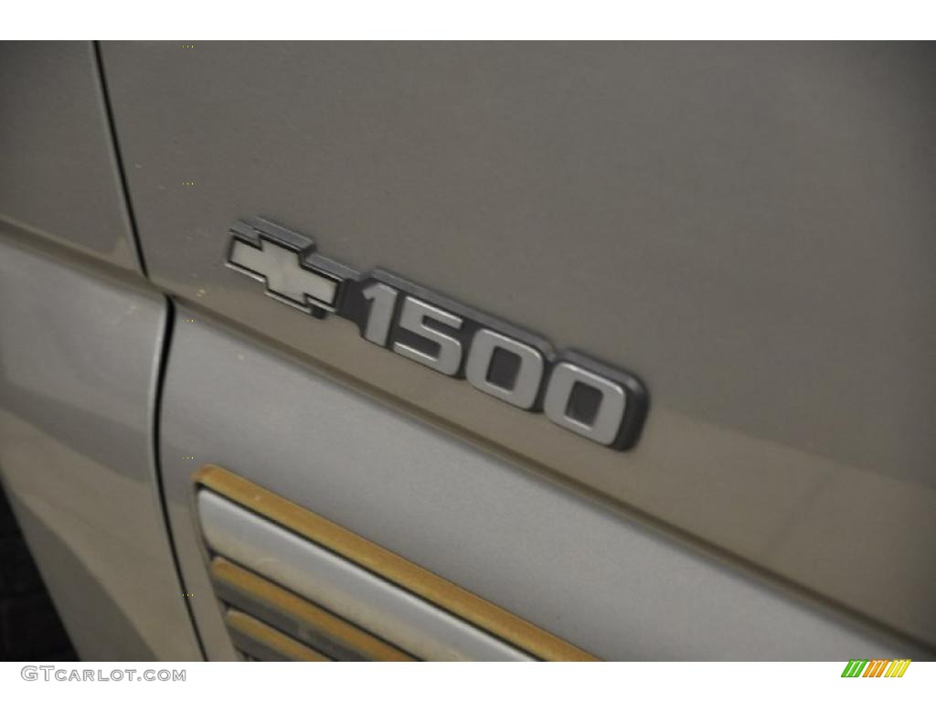 2002 Silverado 1500 Extended Cab - Light Pewter Metallic / Graphite Gray photo #8