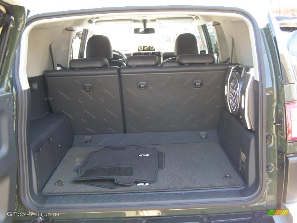 2010 Toyota FJ Cruiser 4WD Trunk Photo #38863420