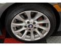 Stratus Grey Metallic - Z4 3.0si Roadster Photo No. 14