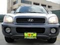 2003 Pewter Hyundai Santa Fe GLS  photo #9