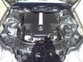 5.0L SOHC 24V V8 2004 Mercedes-Benz E 500 Sedan Engine