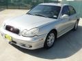 Bright Silver - Sonata GLS V6 Photo No. 7