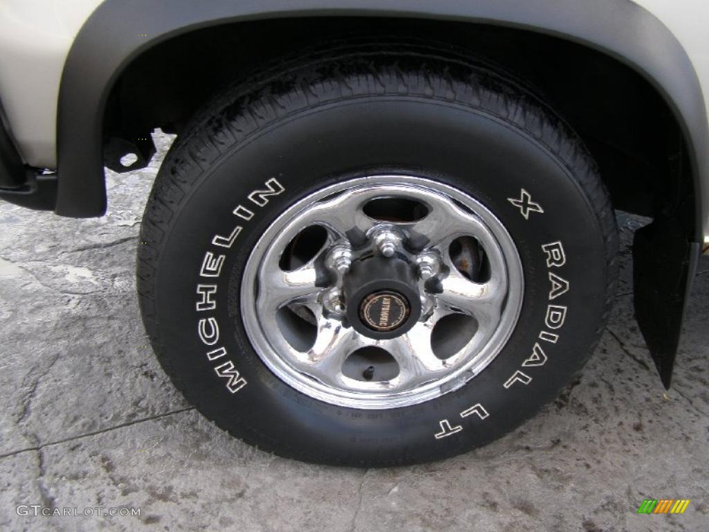 1995 Pathfinder XE 4x4 - Champagne Pearl Metallic / Gray photo #3