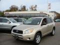 Savannah Metallic - RAV4 4WD Photo No. 1