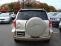 Savannah Metallic - RAV4 4WD Photo No. 5
