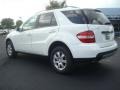 Alabaster White - ML 350 4Matic Photo No. 4