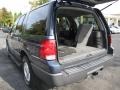Medium Wedgewood Blue Metallic - Expedition XLT Photo No. 9